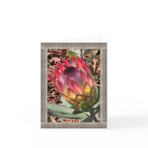All-Occasion Note Card with Beautiful Protea