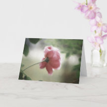 All Occasion Notecard or Greeting