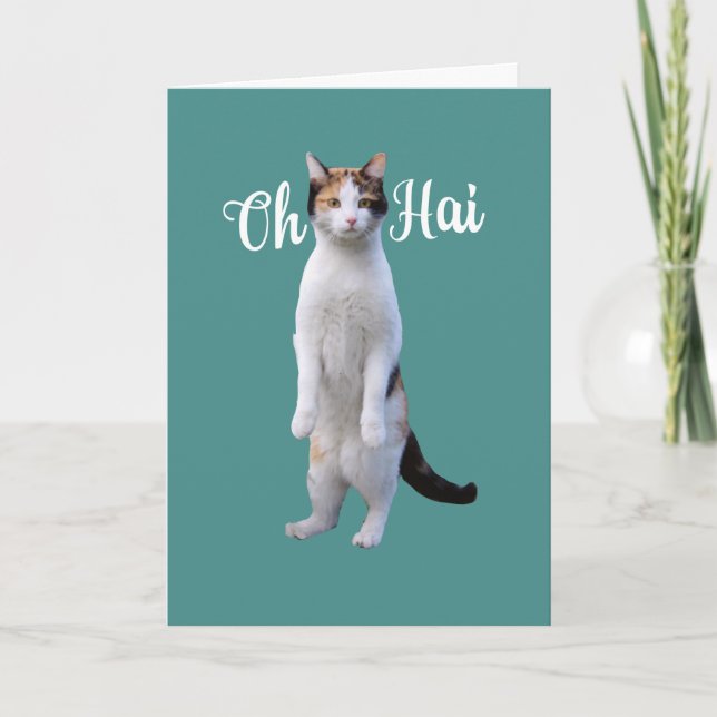 All Occasion Say Hello Cute Standing Cat Card (Front)
