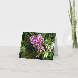 All Occasions Orchids Greeting Card