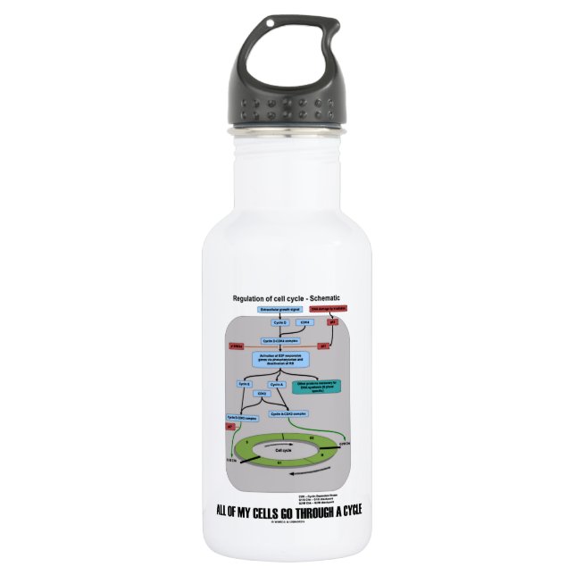 All Of My Cells Go Through A Cycle (Biology) 532 Ml Water Bottle (Front)
