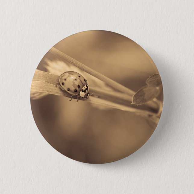 all one summer 2 inch round button (Front)