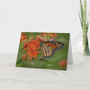 All Orange Card