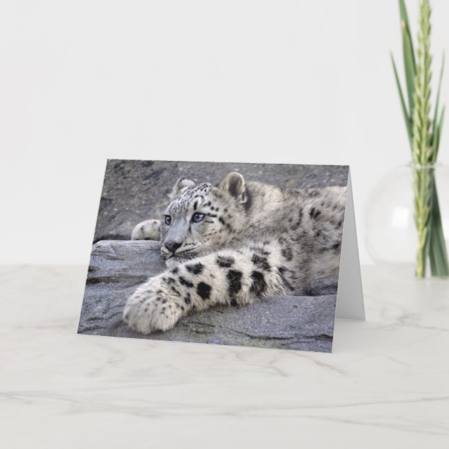 All Played Out Card (Front)