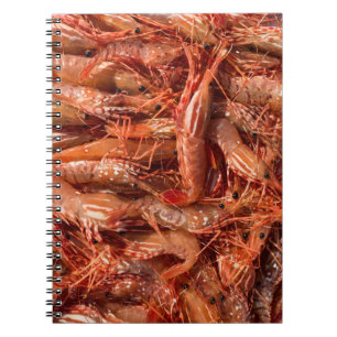 All Prawn and No Brain Notebook