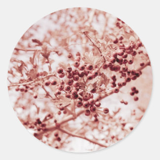 all rosy classic round sticker