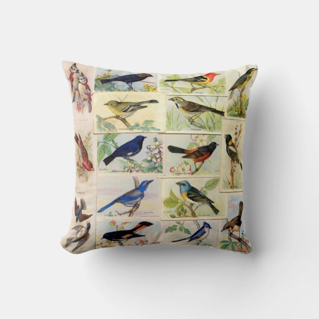 All Sorts of Birds Throw Pillow (Front)