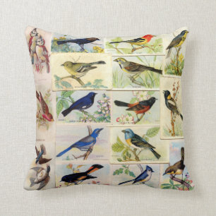 All Sorts of Birds Throw Pillow