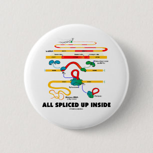 All Spliced Up Inside (RNA Splicing) 2 Inch Round Button