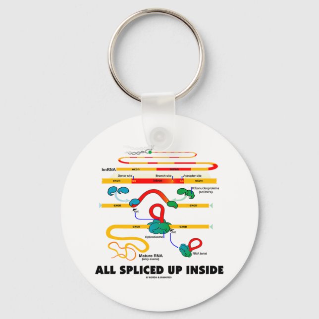All Spliced Up Inside (RNA Splicing) Keychain (Front)