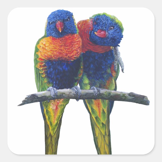 All the colours of the Rainbow Lorikeets Square Sticker (Front)