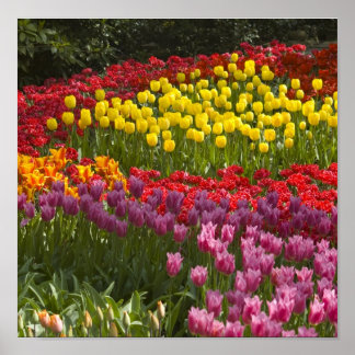 All the colours of the rainbow poster