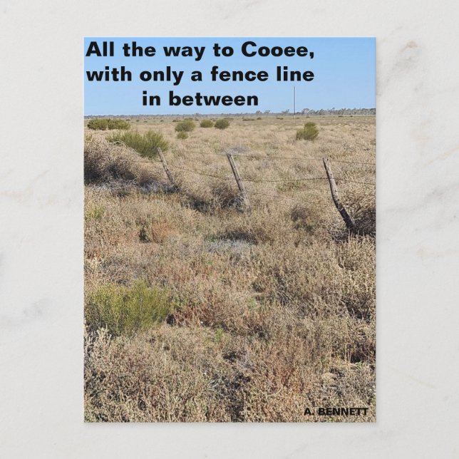 All the way to Cooee Postcard (Front)