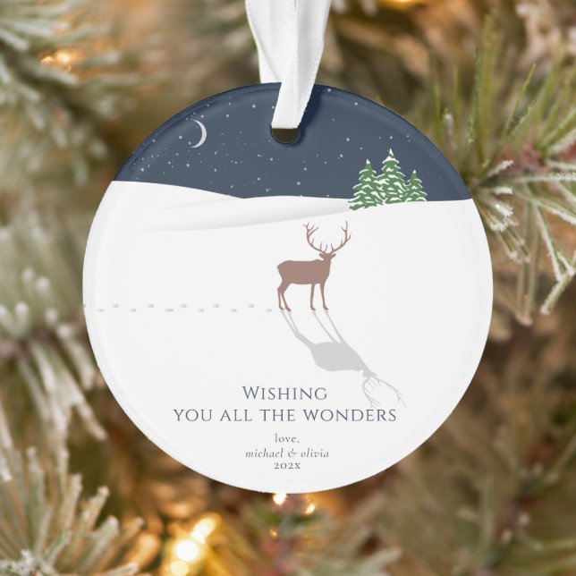 All the Wonders Starry Night Photo Ornament (Tree)