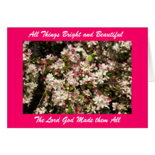 All Things Bright and Beautifu...