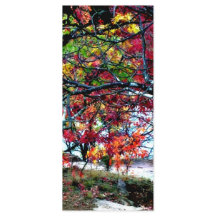 All Things Bright and Beautiful Bookmark