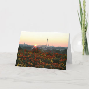 All Three Sunrise Greeting Card