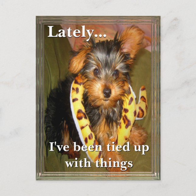 All Tied Up Customizable Postcard (Front)