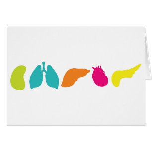 All Transplant Organs   Greeting Card