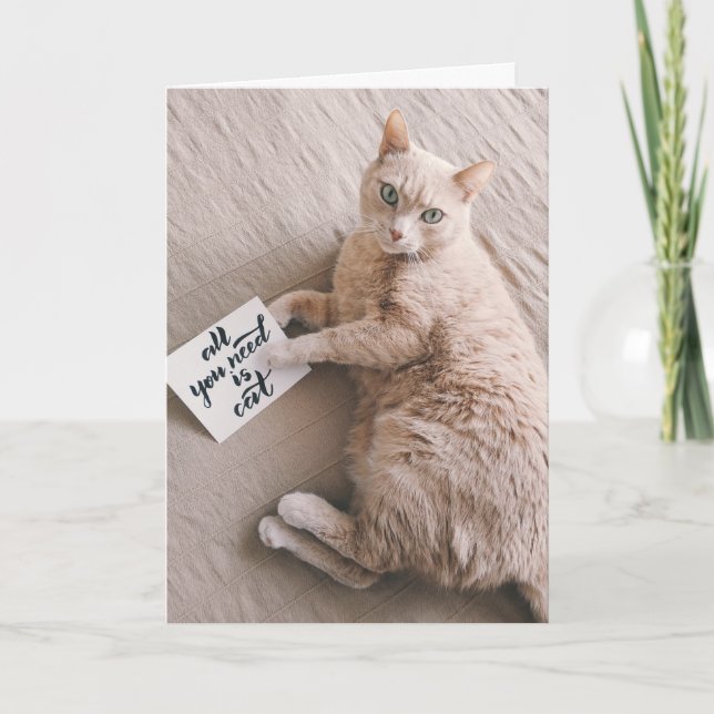 All You Need is Cat Missing You Card (Front)