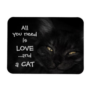 All you need is love...and a cat / Black cat Magnet