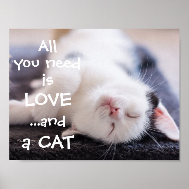 All you need is love...and a cat // kitten poster (Front)