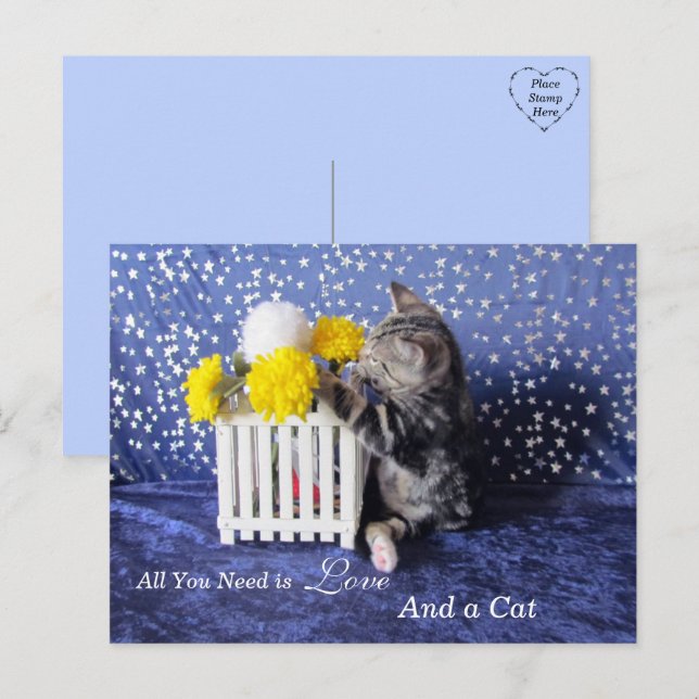 All You Need is Love and a Cat Postcard (Front/Back)