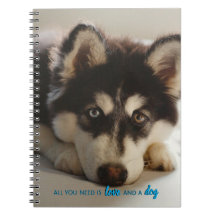 All you need is love and a dog 8.5x5.5 Husky
