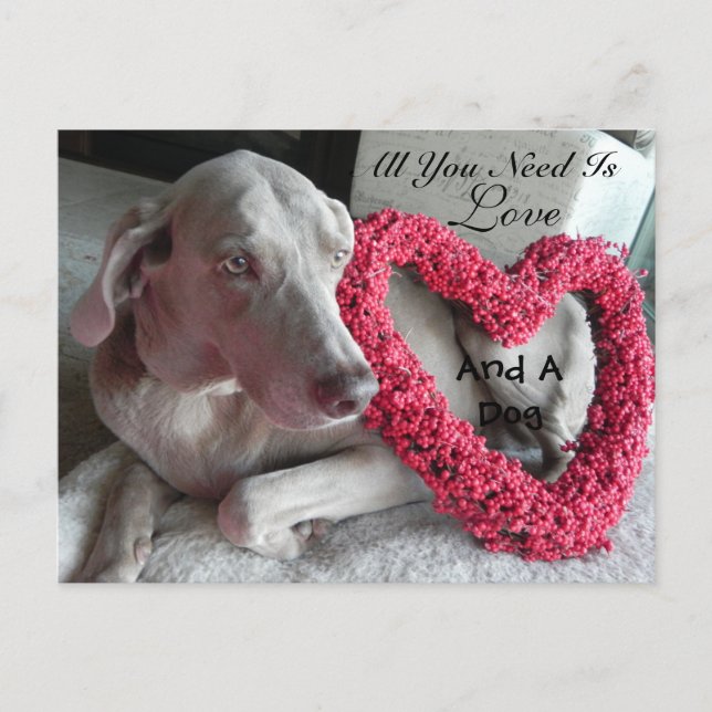 All You Need Is Love - and A Dog (Raina) Postcard (Front)