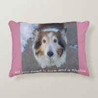 All you need is love and a Sheltie