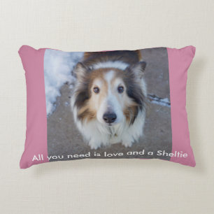 All you need is love and a Sheltie Accent Pillow