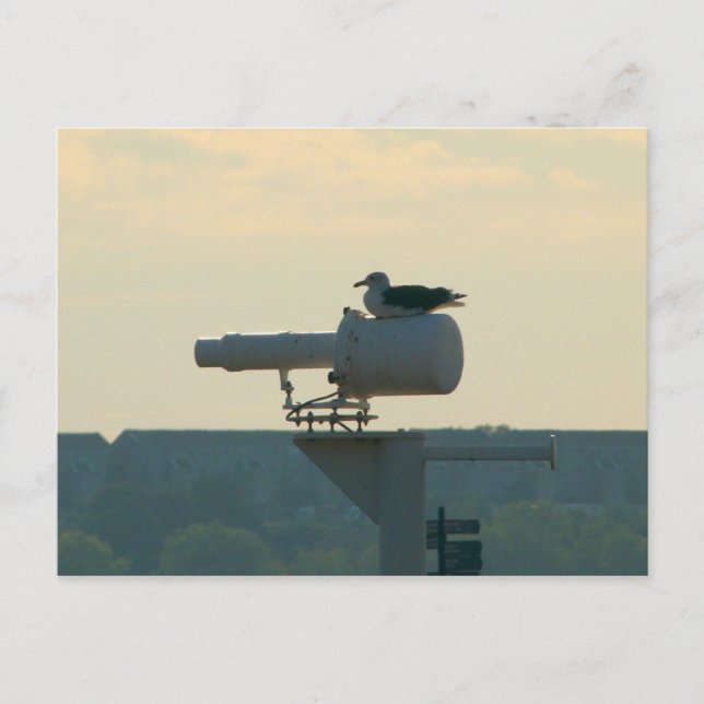 All Your Base are Belong to Us Postcard (Front)