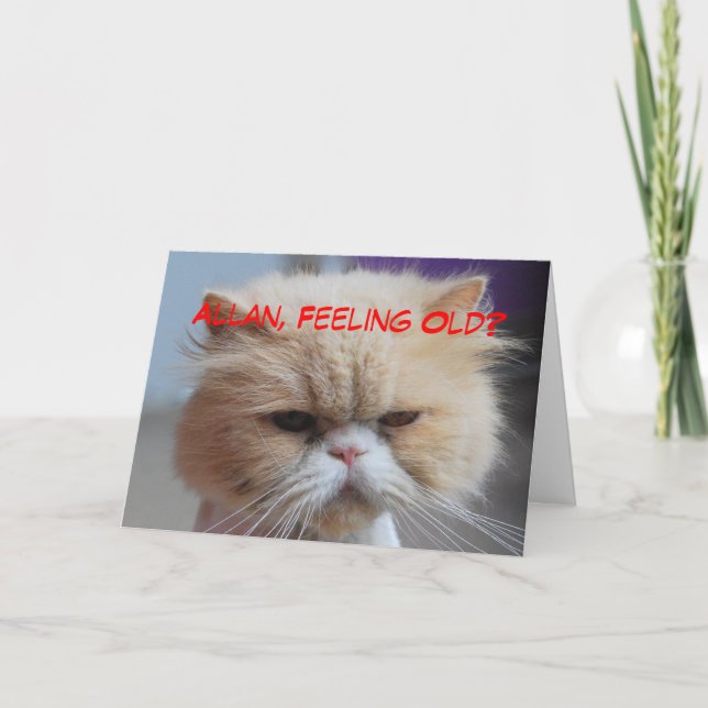 Allan Brother Birthday Persian Cat Humour Card (Front)