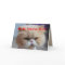 Allan Brother Birthday Persian Cat Humour