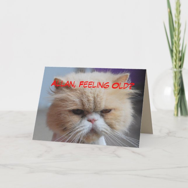 Allan Brother Birthday Persian Cat Humour Card (Front)