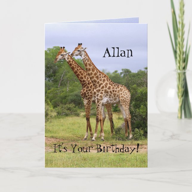 Allan "Go Wild" Happy Birthday Giraffes Card (Front)