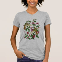 Allan's hummingbird and Fuschia