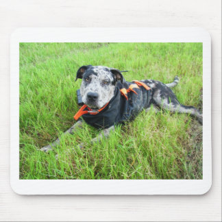alldogscatch mouse pad