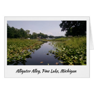 Allée d'alligator - lac pine