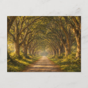 Allée de chênes vivants Paysage Carte postale