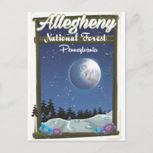 Allegheny National Forest Pennsylvania Postcard
