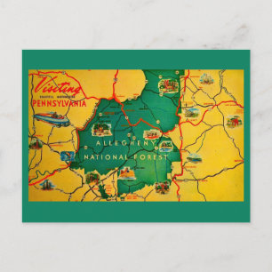 Allegheny National Forest Postcard