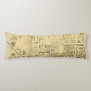 Allegheny ward 2 body pillow