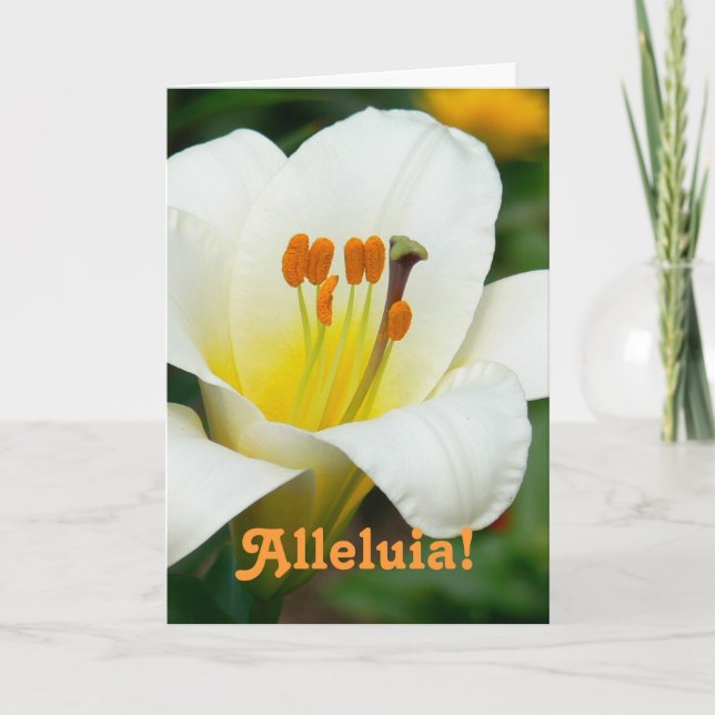 "ALLELUIA" / WHITE LILY EASTER CARD (Front)