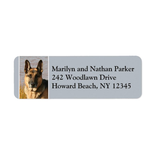 Allemand Berger Chien Visage Adresse de retour Lab (Devant)