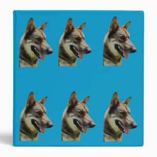 Allemand Classeur Shepard