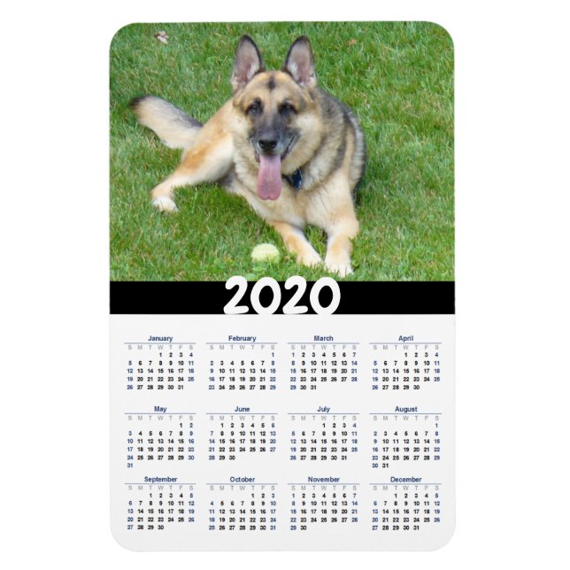 Allemand Shepherd Dog 2020 Calendrier Magnet (Vertical)