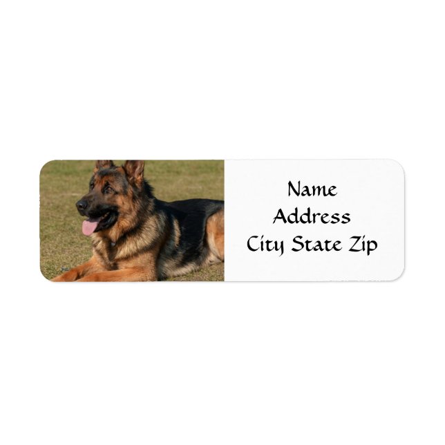 *ALLEMAND SHEPHERD* ÉTIQUETTE D'ADRESSE DE RETOUR (Devant)