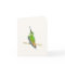 Allen's Hummingbird