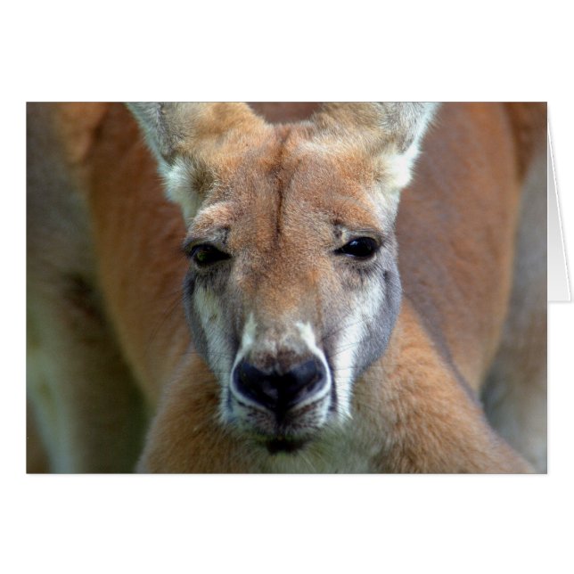 aller (Devant horizontal)